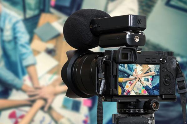 Assegurar a Protecção